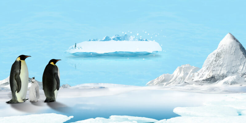 挪威南極Aker毛孩保健》磷蝦油Omega3就是比魚油功效好！不和企鵝與藍鯨搶食海洋生物