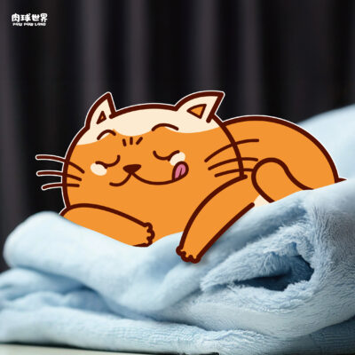 預防貓癬！貓咪長黴菌可以洗澡嗎？正確的清潔方式與建議