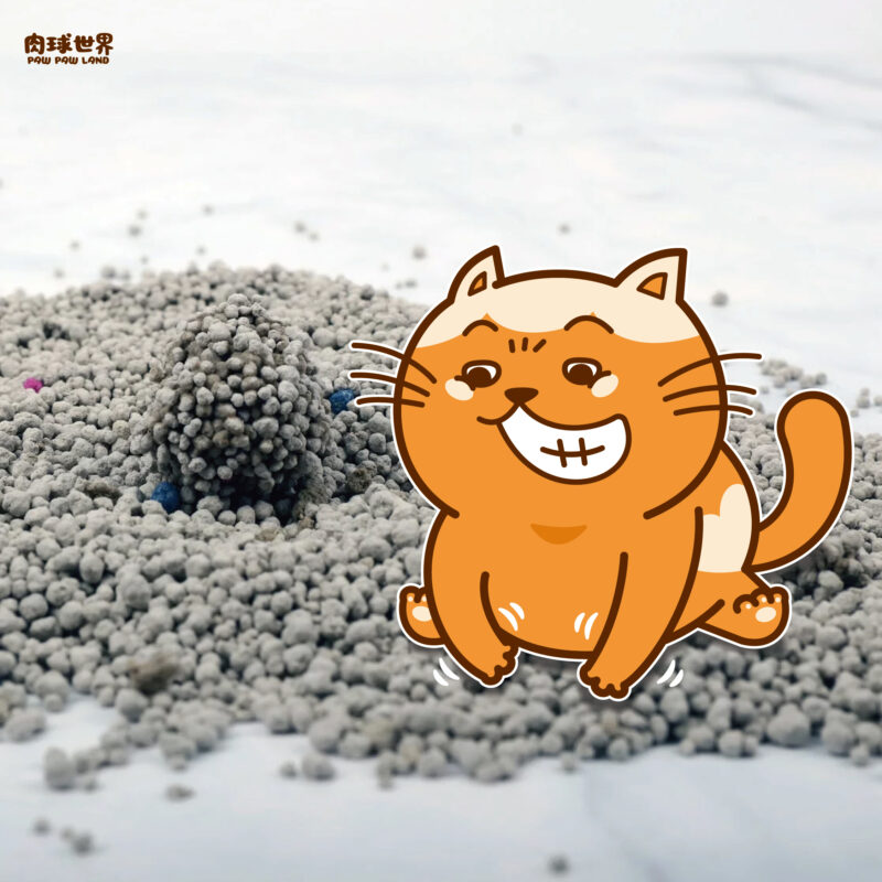 2. 貓砂種類概述與常見的豆腐砂、松木砂、礦砂