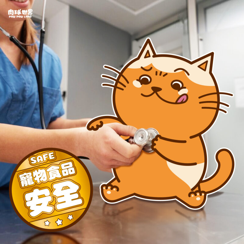 貓吃貓糧檢驗低血鉀！貓咪低血鉀原因？寵物主食罐與餐包的低血鉀症狀